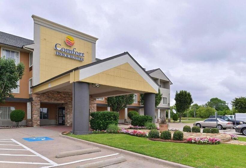 ホテル Comfort Inn & Suites Frisco   Plano