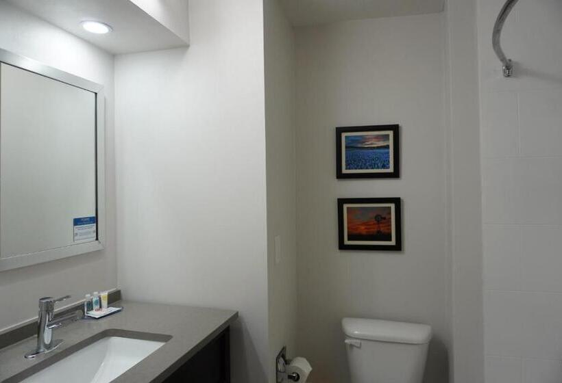 ホテル Comfort Inn & Suites Frisco   Plano