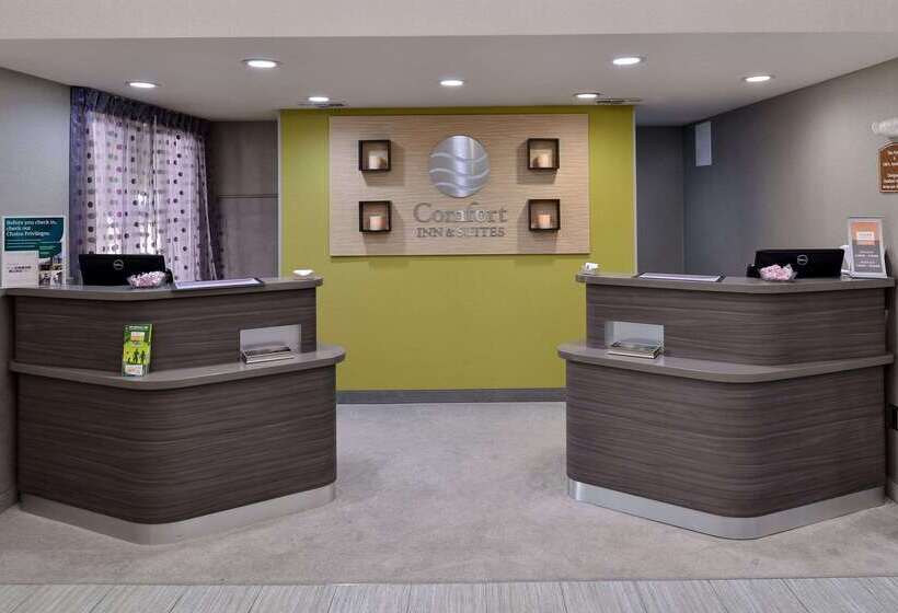 ホテル Comfort Inn & Suites Frisco   Plano