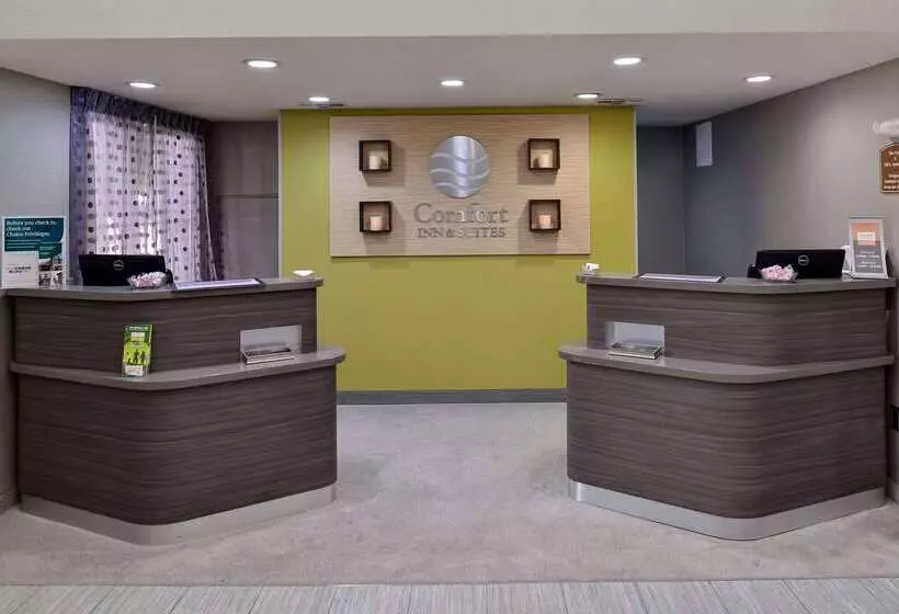 Отель Comfort Inn & Suites Frisco   Plano