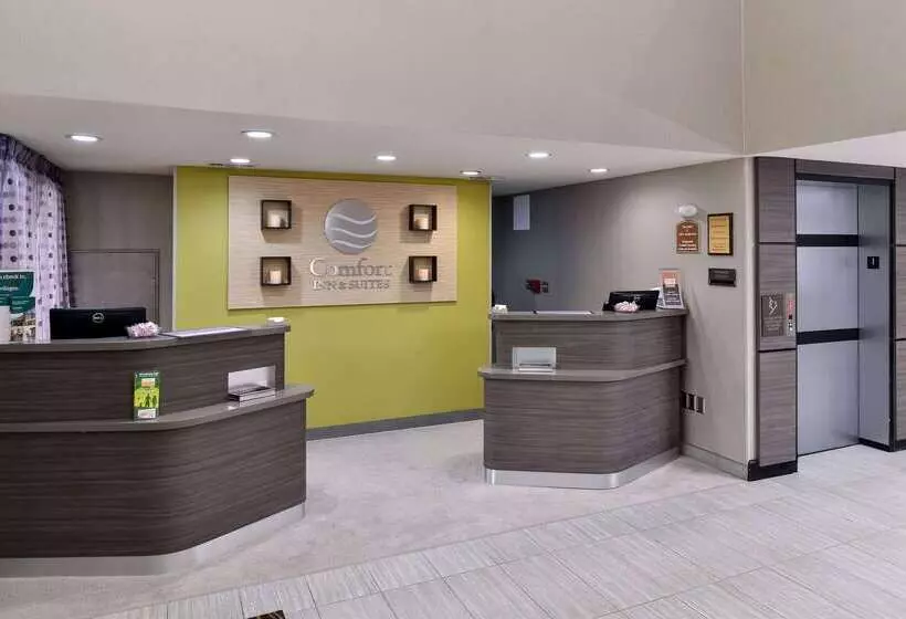 Отель Comfort Inn & Suites Frisco   Plano