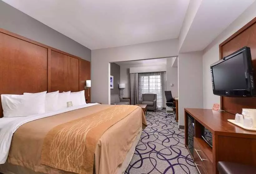 Отель Comfort Inn & Suites Frisco   Plano
