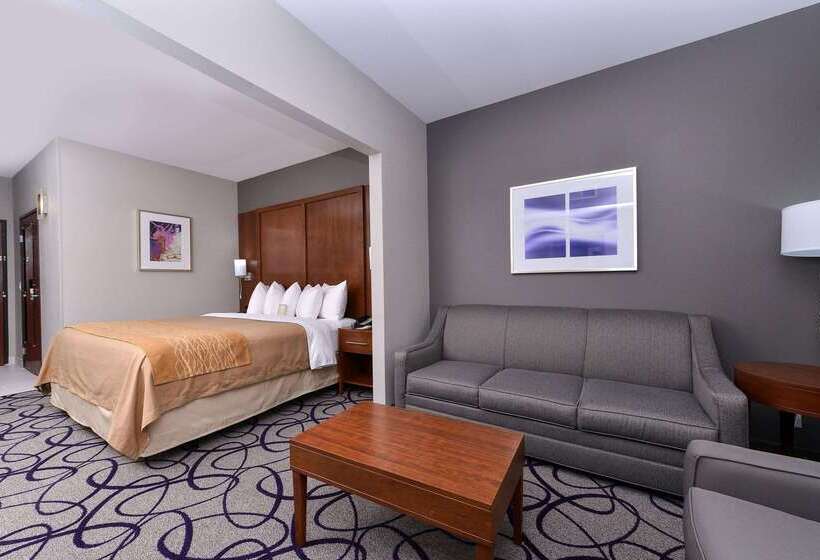 ホテル Comfort Inn & Suites Frisco   Plano