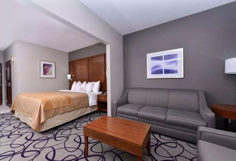 Отель Comfort Inn & Suites Frisco   Plano