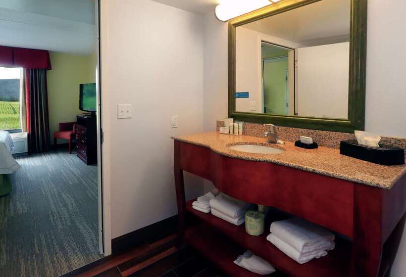 酒店 Hampton Inn & Suites Lamar