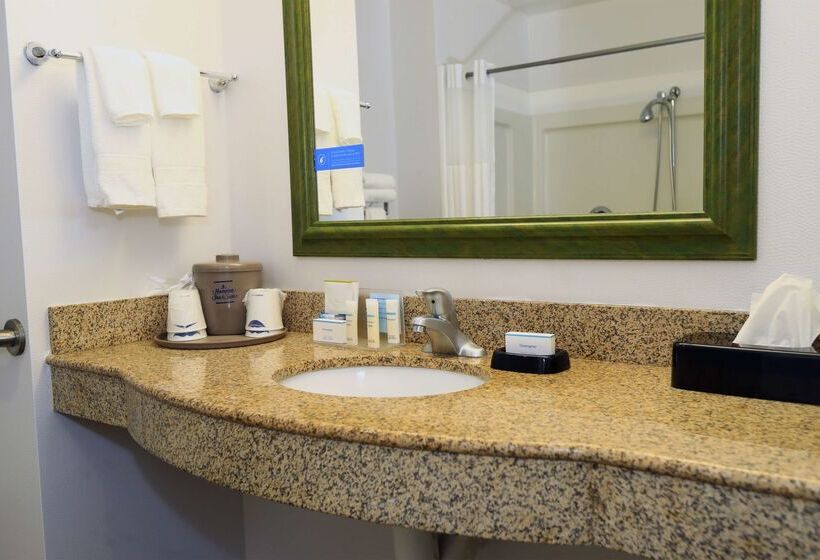 酒店 Hampton Inn & Suites Lamar