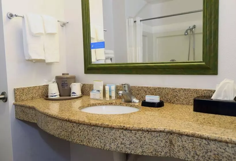 ホテル Hampton Inn & Suites Lamar