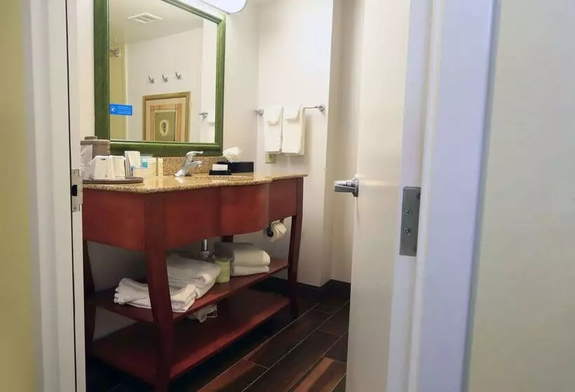 ホテル Hampton Inn & Suites Lamar