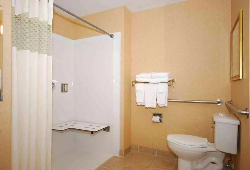 ホテル Hampton Inn & Suites Lamar