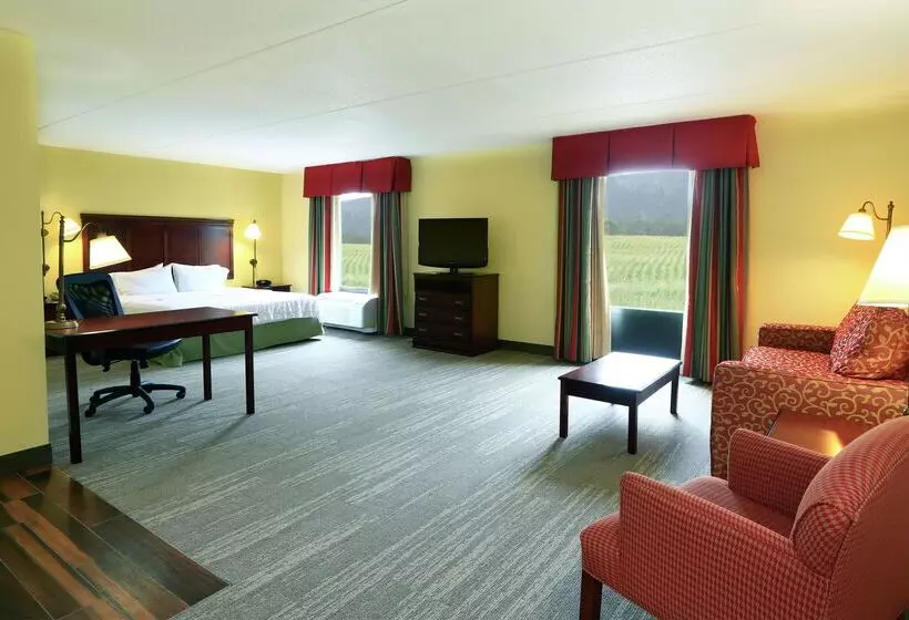 ホテル Hampton Inn & Suites Lamar