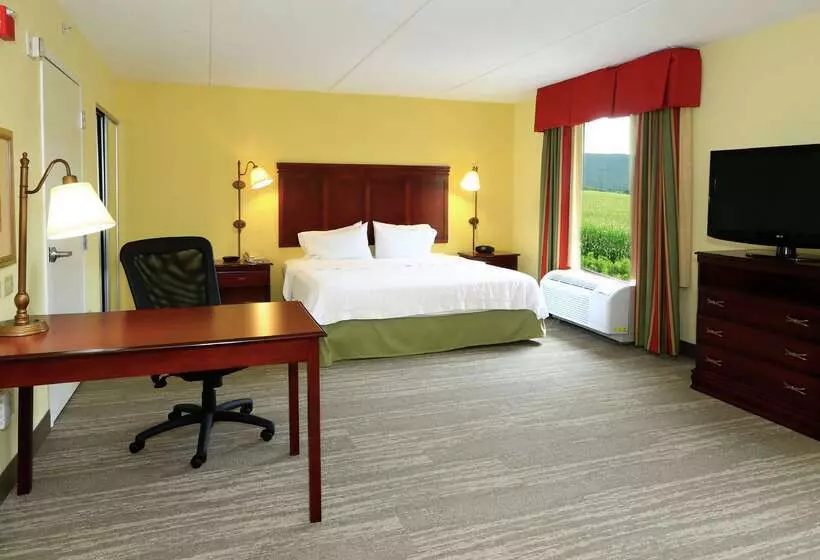 ホテル Hampton Inn & Suites Lamar