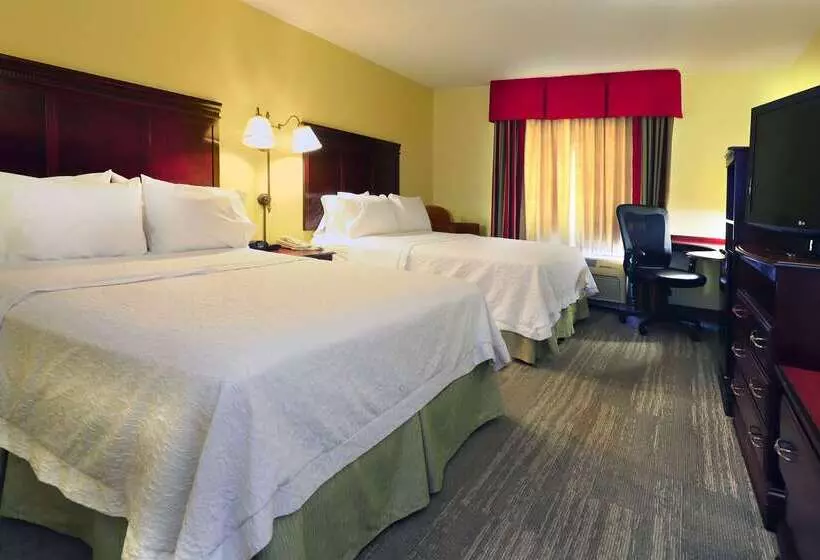 ホテル Hampton Inn & Suites Lamar