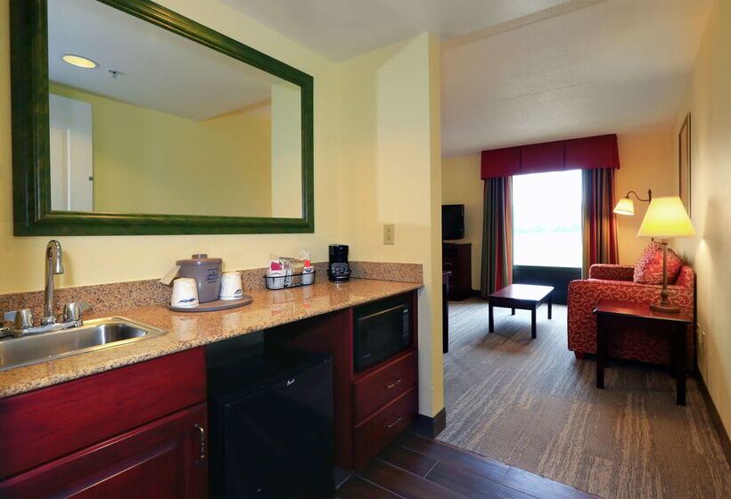 酒店 Hampton Inn & Suites Lamar