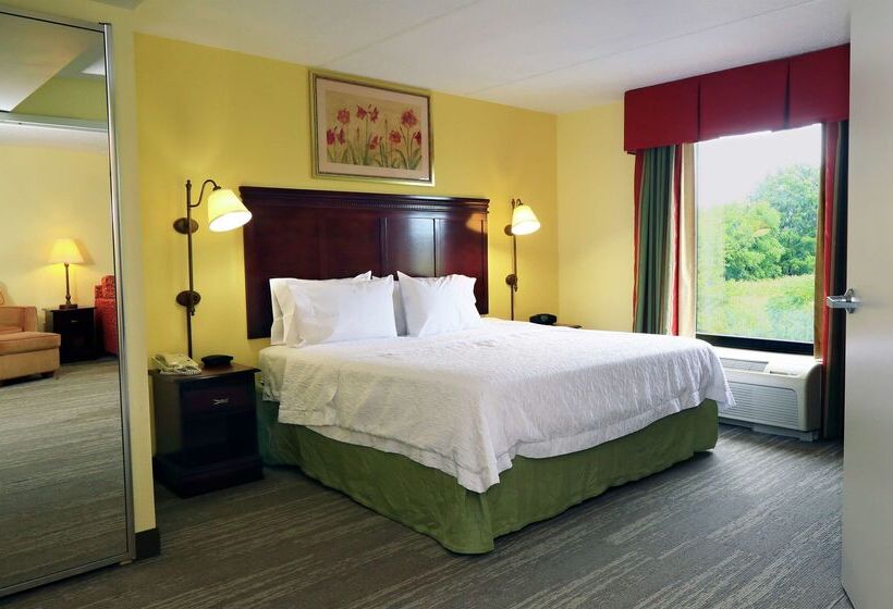 酒店 Hampton Inn & Suites Lamar