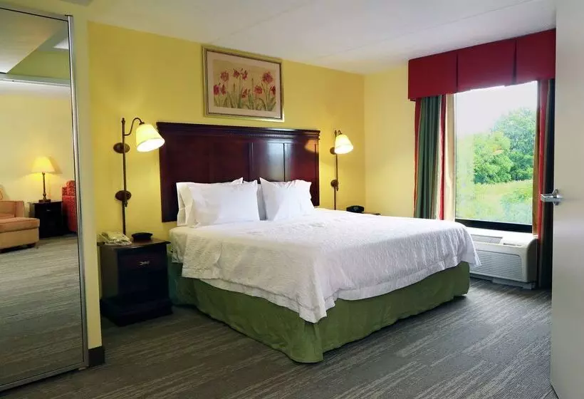 ホテル Hampton Inn & Suites Lamar