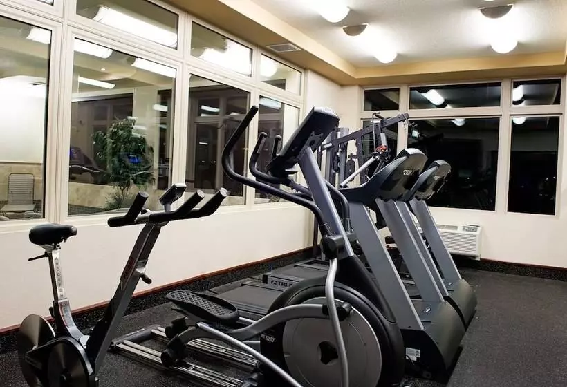 Holiday Inn Hotel & Suites West Edmonton, An Ihg