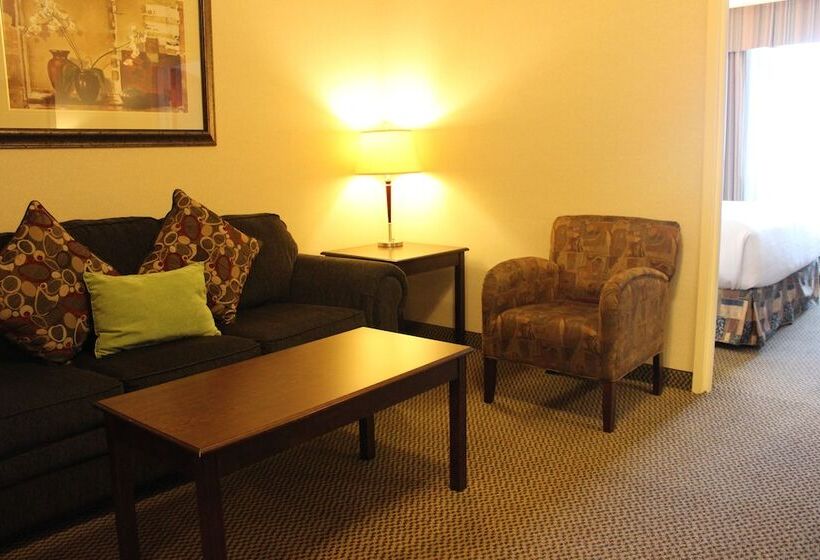 Holiday Inn Hotel & Suites West Edmonton, An Ihg