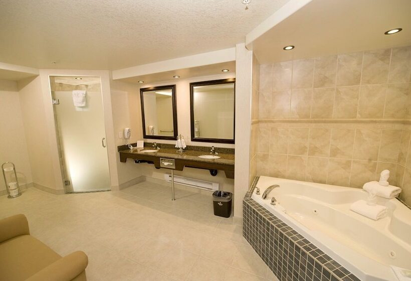 Holiday Inn Hotel & Suites West Edmonton, An Ihg