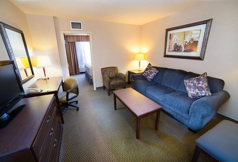 Holiday Inn Hotel & Suites West Edmonton, An Ihg