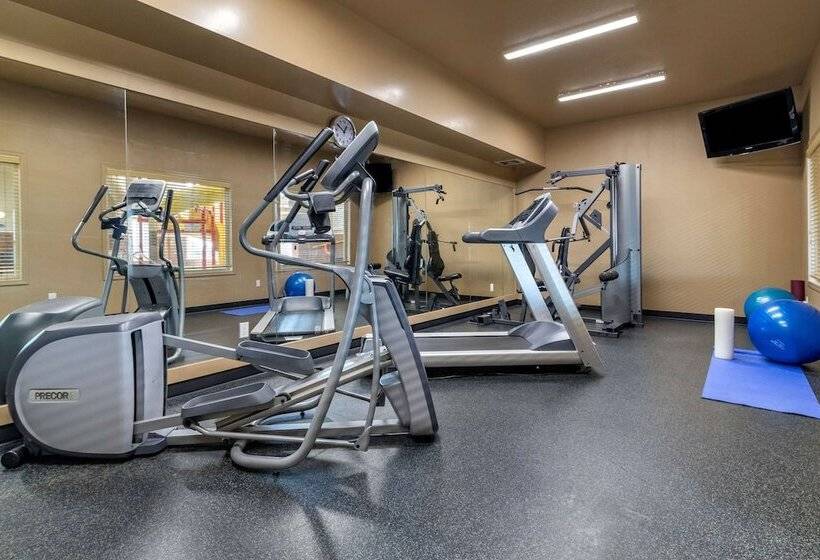 호텔 Quality Inn & Suites