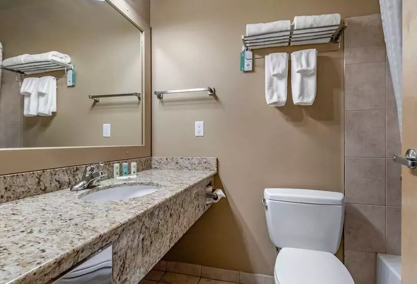 호텔 Quality Inn & Suites