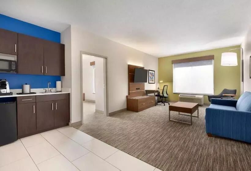Holiday Inn Express Hotel & Suites Opelika Auburn, An Ihg