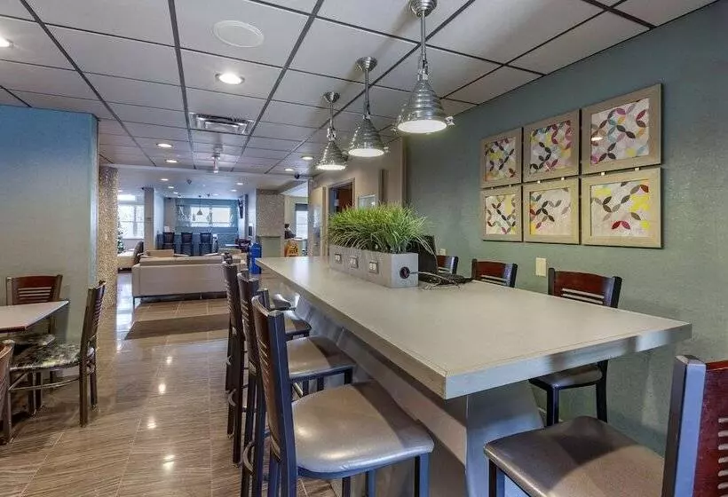 酒店 Best Western Plus Woodstock Inn & Suites