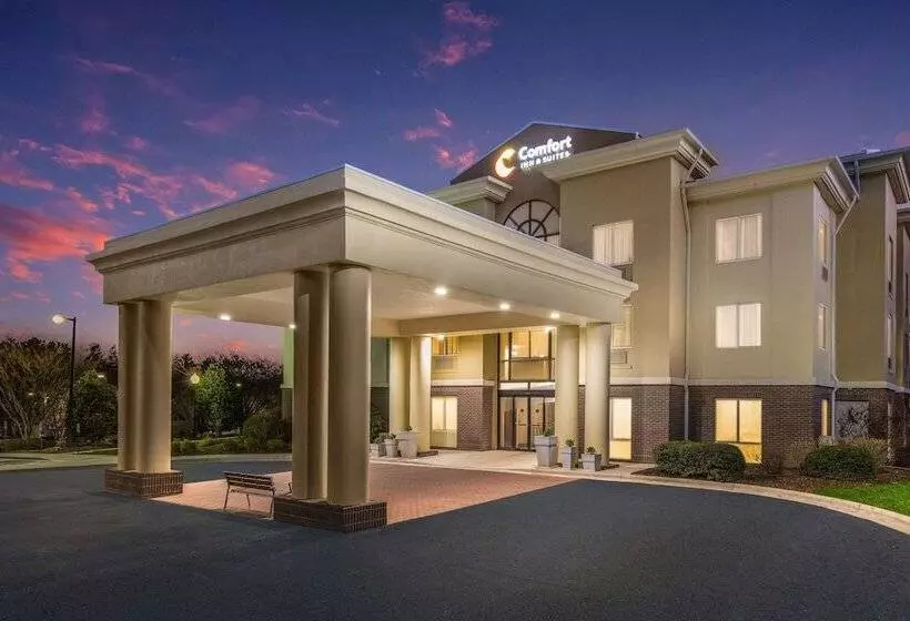 酒店 Comfort Inn & Suites