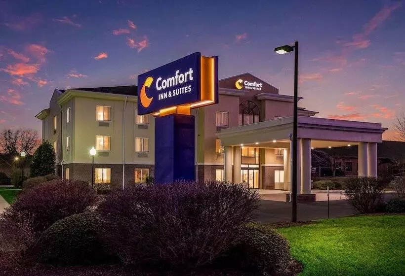 酒店 Comfort Inn & Suites