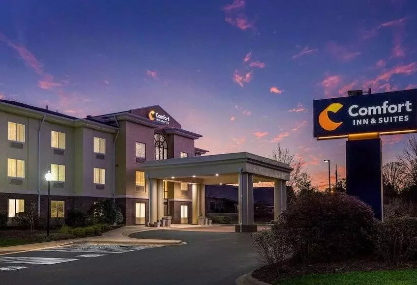 酒店 Comfort Inn & Suites