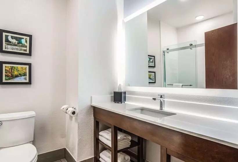 酒店 Comfort Inn & Suites