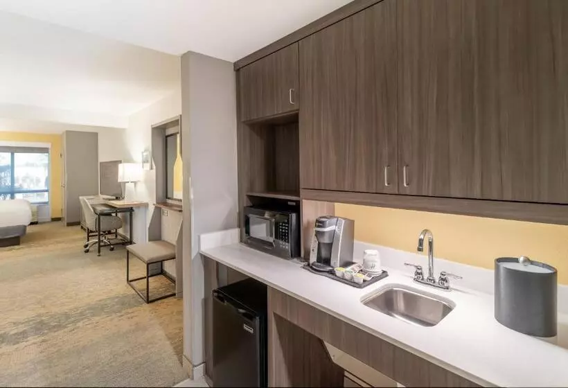 Holiday Inn Hotel & Suites Orange Park Wells Rd