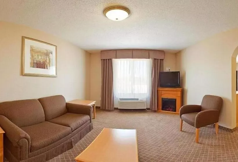 Holiday Inn Express Hotel & Suites Chesterfield   Selfridge Area, An Ihg