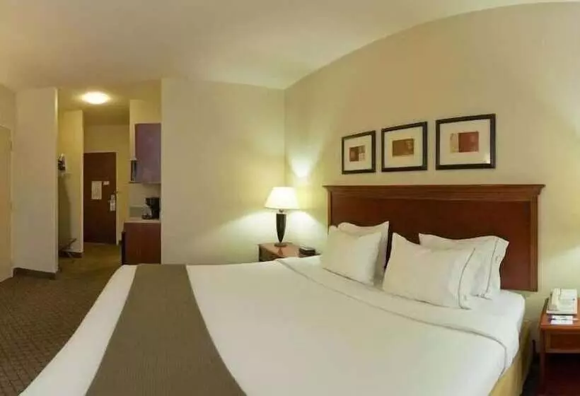 Holiday Inn Express Hotel & Suites Jackson Flowood, An Ihg