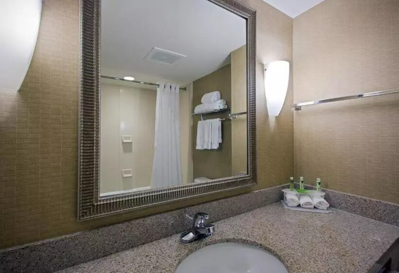 Holiday Inn Express Hotel & Suites Jackson Flowood, An Ihg