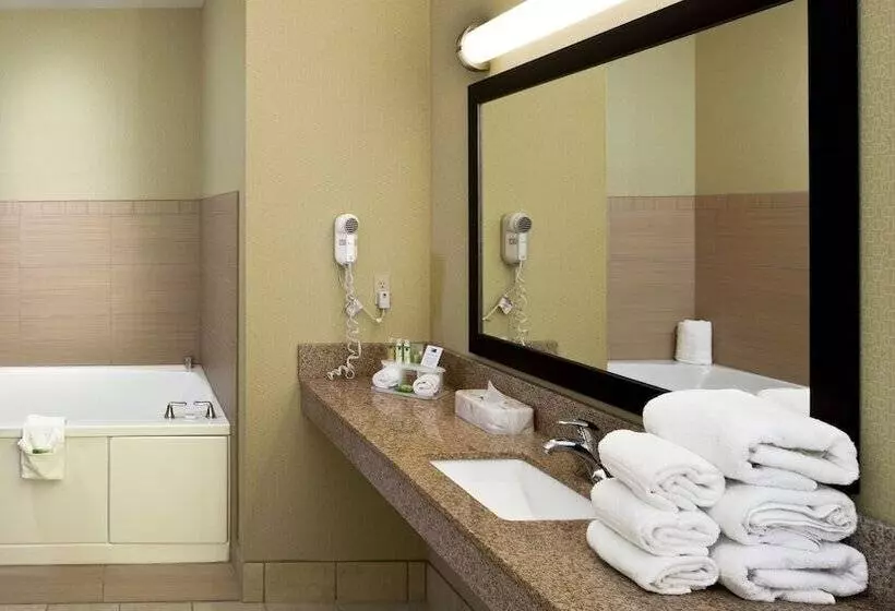 Holiday Inn Express Hotel & Suites Saginaw, An Ihg