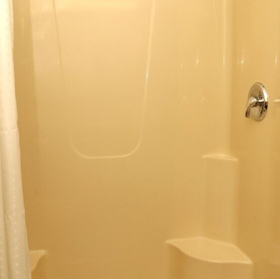 Holiday Inn Express Hotel & Suites Saginaw, An Ihg