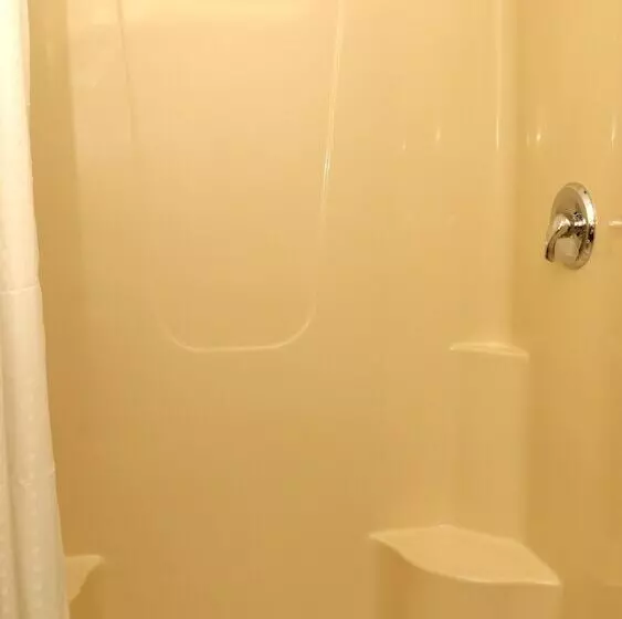 Holiday Inn Express Hotel & Suites Saginaw, An Ihg