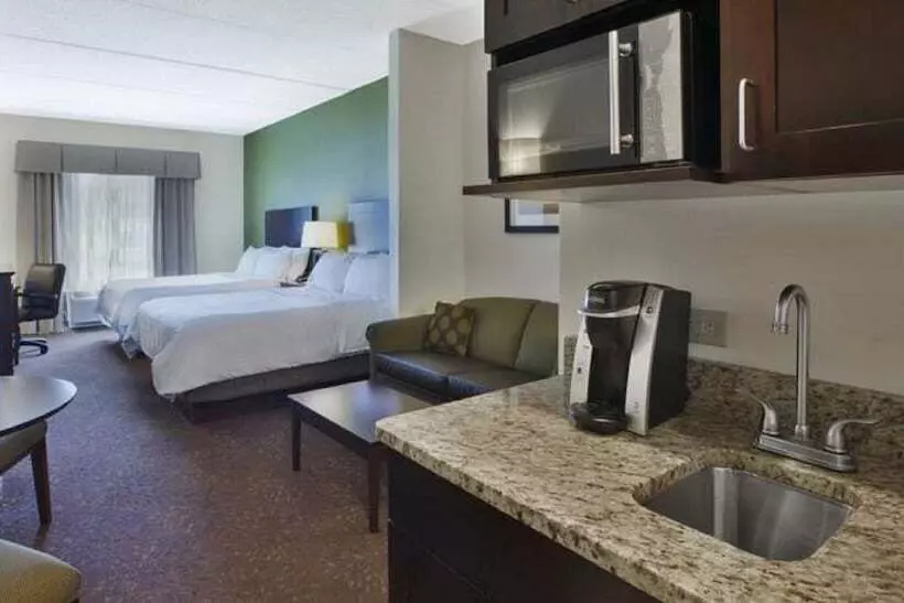 Holiday Inn Express Hotel & Suites Saginaw, An Ihg