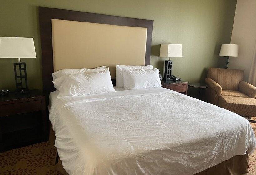 Holiday Inn Express Hotel & Suites Silt Rifle, An Ihg