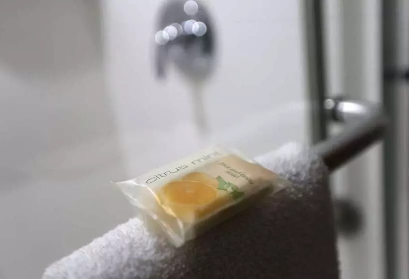 Otel Holiday Inn Express   Biloxi   Beach Blvd, An Ihg