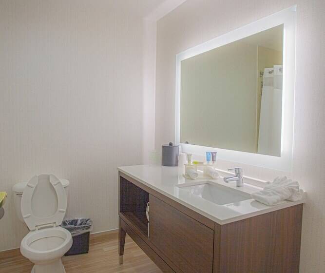 ホテル Holiday Inn & Suites Spring   The Woodlands