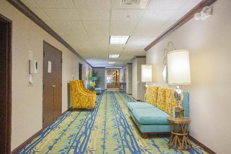 ホテル Holiday Inn & Suites Spring   The Woodlands