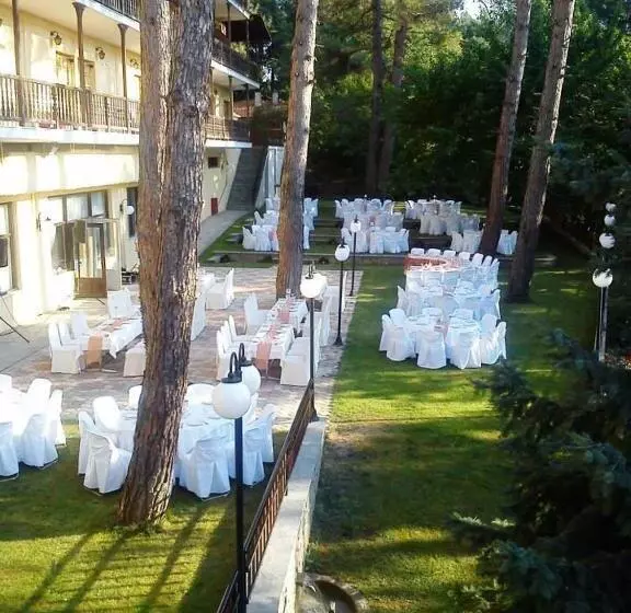 Отель Milionis Forest