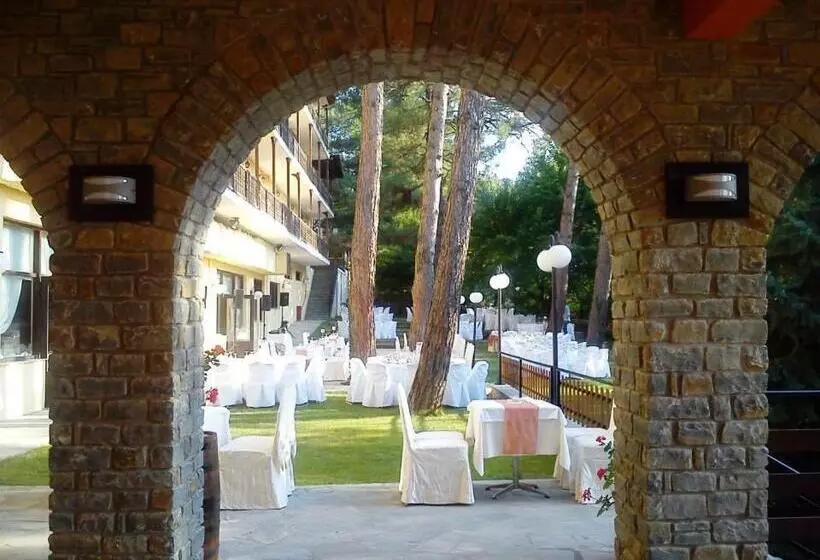 Отель Milionis Forest