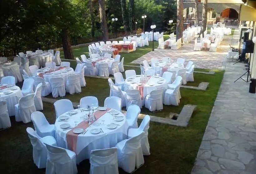 Отель Milionis Forest