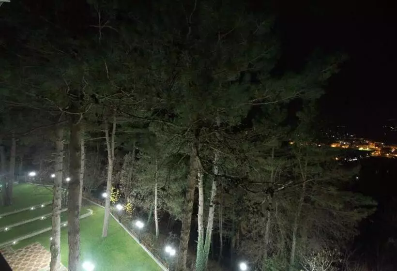 Отель Milionis Forest