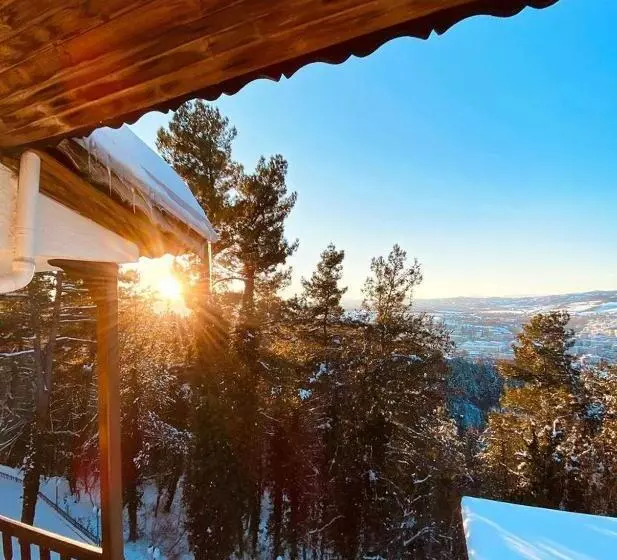 Отель Milionis Forest