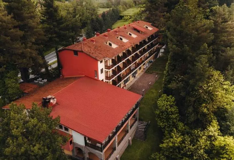 Отель Milionis Forest