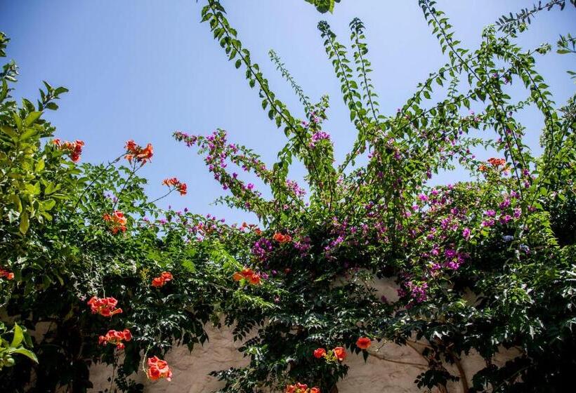 호텔 Orloff Boutique